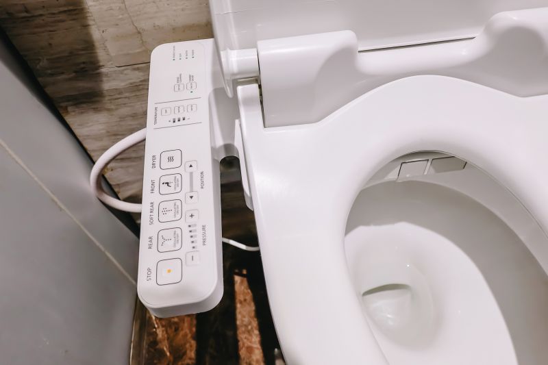 Modern Toilet and Bidet